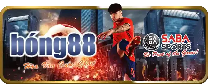 Quản lý tài khoản cá nhân VIP